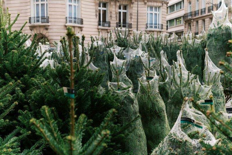 プロジェクト開始